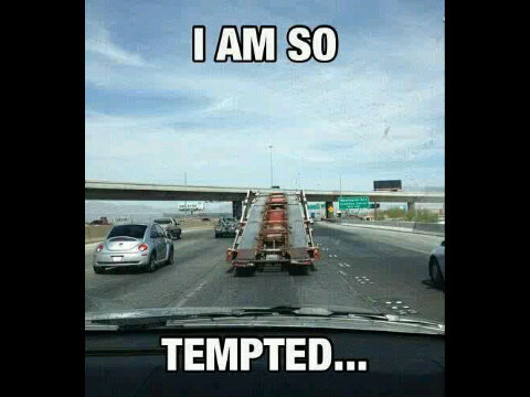 Aawedude's profile picture. Luv to look at chicks butts and and I luvs bannas and I'm luvs slinkie.... Look at that shit go :p