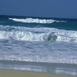 m1243m's profile picture. 