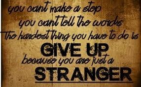 We are stranger,stuck in strangerzone