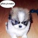 Lelia Monroe - @leliamonroesldv - Twitter