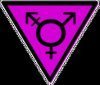 Transformations Iowa is a group for Female to Male, Male to Female, Gender Queer, Cross Dressing, Questioning, Intersexed, Allies, and Significant Other in Iowa
