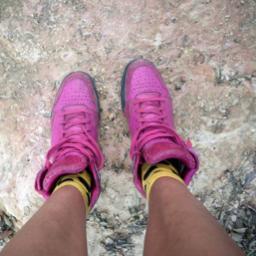 zaravitch's profile picture. Freelance journalist & communicatievrouw. Concerned about the planet.