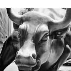 Trader forex y bolsa