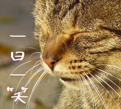 山羊座のオウチスキー