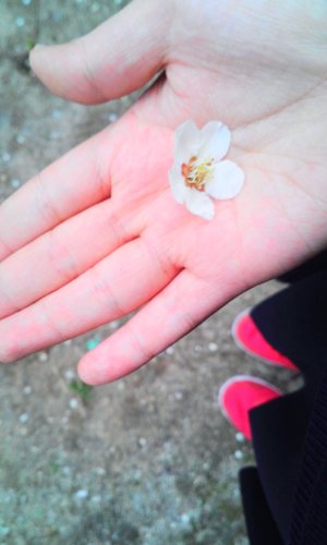 @Best_Hyesin
