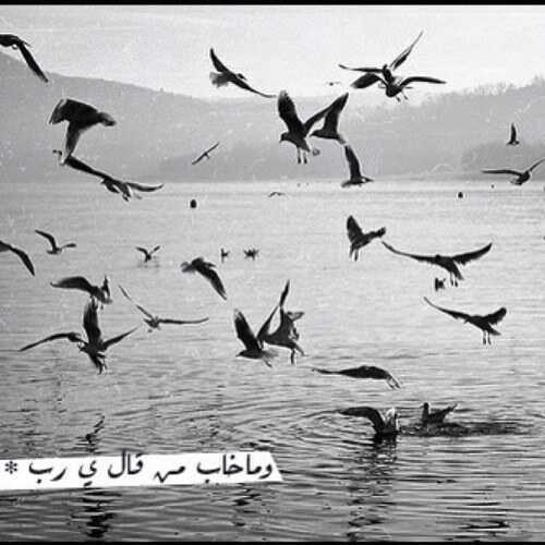 لآ شيئ يمنحني الحيآة ؛ إلآ أنك دوما معي يآ الله :)   / مآليزيآ موطني الأم الذي أنتمي إليه إسميًا ..
