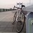 ロードレーサーさんのプロフィール画像