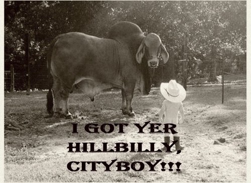 AwlHatnOcattle's profile picture. Pro-tip: If you are at the courthouse, always check behind the toilets for bribe money that hasn't been collected yet.