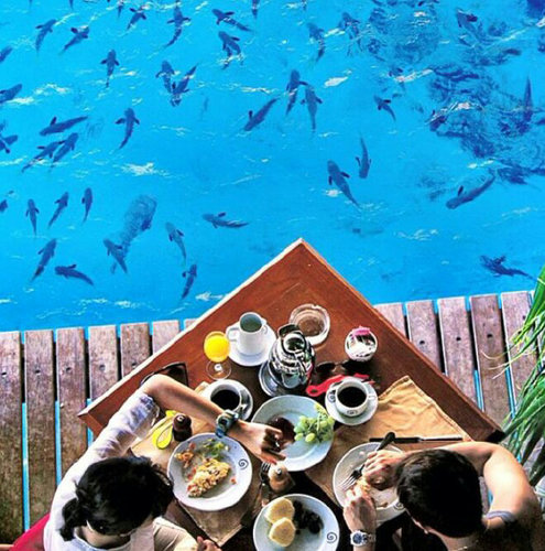 sharof_m's profile picture. 