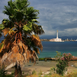 Messina Fortificata condivide con te le news e gli eventi dei forti messinesi.