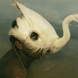 _marrak_'s profile picture. 