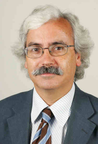 Sociólogo | Periodista en EL CORREO | Profesor del Máster de EL CORREO y la UPV | Autor del 'Arca de Noé', columna sobre religión y política  en @elcorreo_com