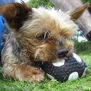 GARRY PARKER - @gazpar2 - Twitter