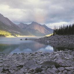 chintalpatel24's profile picture. 