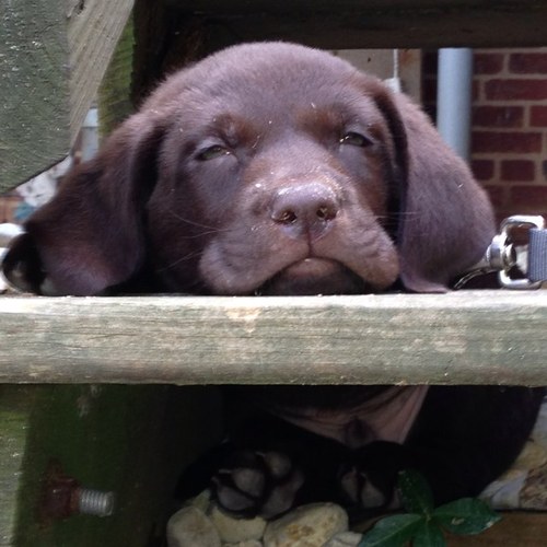 MusicoWmusico's profile picture. 