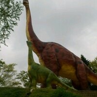 binchan (@annyon_yos) 's Twitter Profile