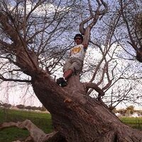 ulises zavala (@uliseszavala12) 's Twitter Profile