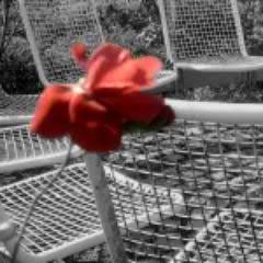 MunichRealTV's profile picture. Drei Gesprächsenthusiasten vor und hinter der Kamera. Zeit ist irrelevant.