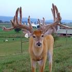 marco10124's profile picture. 