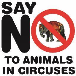 WE WANT ANIMAL CIRCUSES BANNED IN SOUTH AFRICA! For more info (incl video) and protest actions in your area, visit our Facebook page: http://t.co/jkAlARiiul