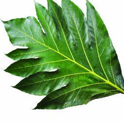 Januar74Januar's profile picture. 