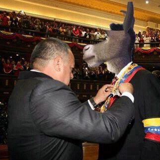 Nací en tierra santa, La grita, estádo tachirá, lcdo. Educ integral, trabajo comercio independiente. Además jugador de fútbol sala y fútbol campo.