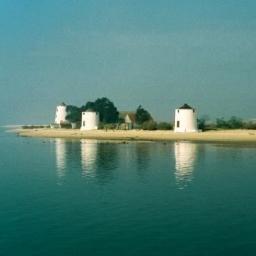 accbarreiro's profile picture. Associação das Colectividades do Concelho do Barreiro