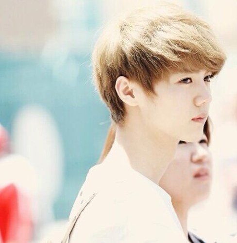 เลิกฟอลแล้วนะ บายยย~