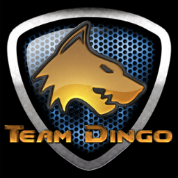 Team Dingo's goal is to display communication and cohesion in games just the way they were meant to be played: together.
And we bring it all to you.