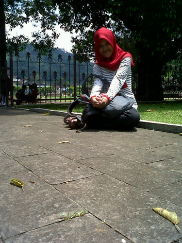 febbytina12's profile picture. Sederhana ajj :)