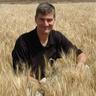 EdUsset's profile picture. I am a grain marketing economist for the University of Minnesota, and author of Grain Marketing is Simple.