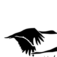 Macro Goose (@macromob) 's Twitter Profile
