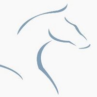 Blenheim EquiSports (@blenheimeq) 's Twitter Profile