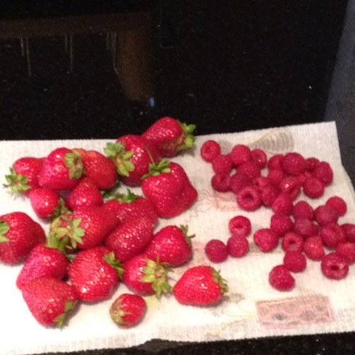 parsnipmutha's profile picture. Penn IT Director, mother, lover of parsnips