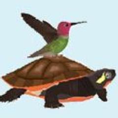 TomsBirdFeeders's profile picture. Such a dilemma! Should I look up to see birds or down to see reptiles and amphibians.  May have to hike longer to see all there is to see.