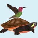 Nancy Hays - @TomsBirdFeeders - Twitter