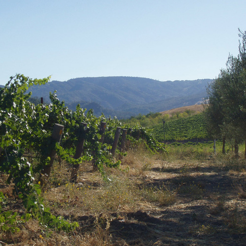 Techno geek along the CA Coast. Check out our Hospice du Rhone and Sonoma Wine Road iPhone and Android Apps.