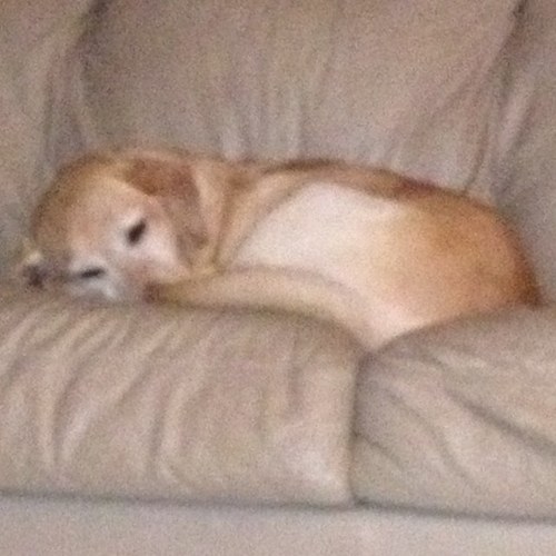 madduke11's profile picture. 