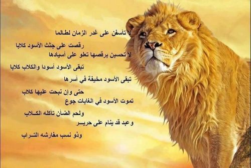 الحمد لله ، اللهم صل على محمد وعلى آله وصحبه أجمعين  ،،،   ربي اغفر لنا وارحمنا وأنت أرحم الراحمين