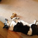 Brittany Creech - @blcreech - Twitter