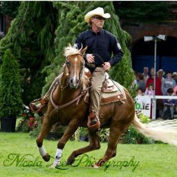 DavidGrayDotBiz's profile picture. Horse Trainer specialising in problem solving, remedial horses, confidence building and nervous riders.

Coach for the Irish Quarter Horse Assoc.Youth Team