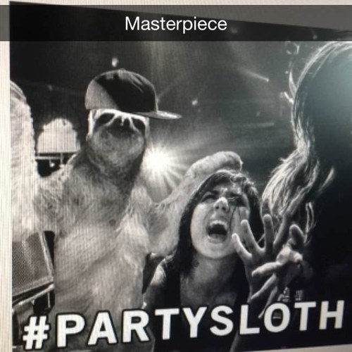 haileyosulliTDG's profile picture. @haileyosulli