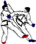 Leading UK Martial Arts Online Shop for all your martial arts clothing and equipment. All styles, Karate, Judo, Tae Kwon Do, Kung Fu.
https://t.co/x6uXu7tstp
