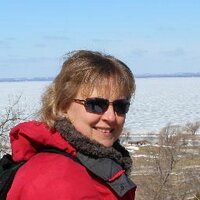 Kaye Bateman (@kayebuk) 's Twitter Profile