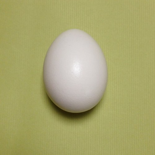 愛知