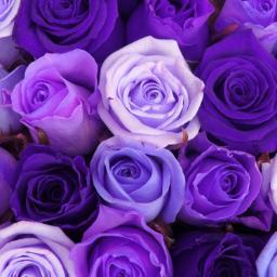 PamelCook's profile picture. Help me never to judge another until I have walked a mile in his moccasins.—Indian prayer