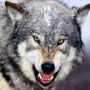 Michael Journey - @JourneyMichael - Twitter