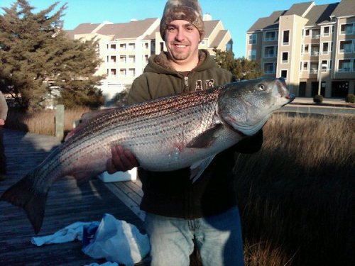 yagerjj's profile picture. 