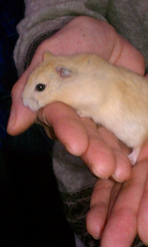 jirohjiroh96's profile picture. 前アカログインできなくなったルイ友エルフレ