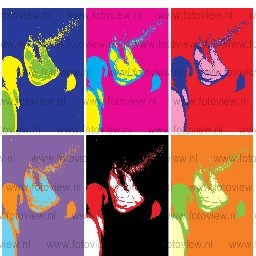 blinkling37's profile picture. 